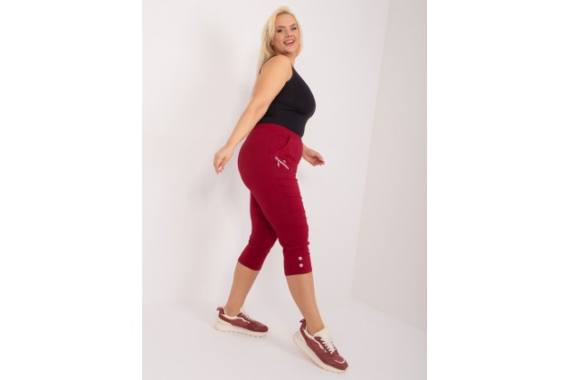 Pantalon - bordeaux